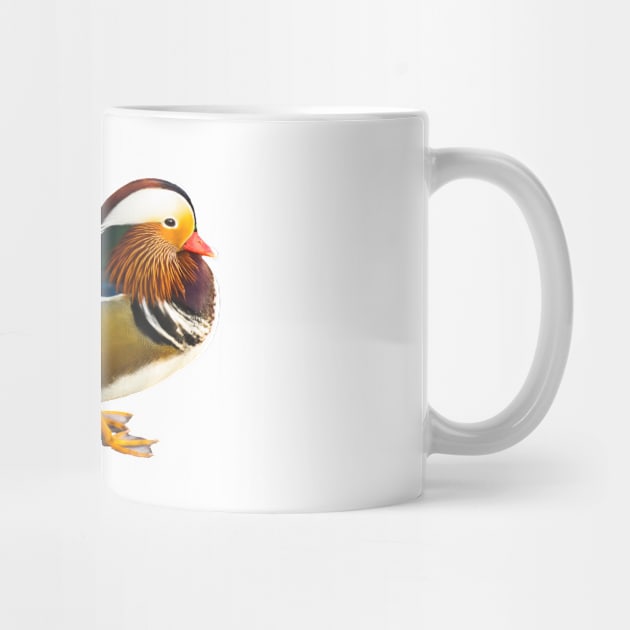 Mandarin duck by kawaii_shop